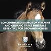 ProElite Rejuvenaide Max Pellet, Joint Horse Supplement, 3 lbs