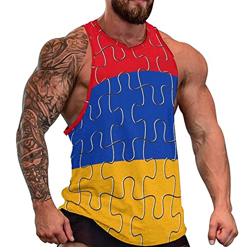Camiseta gimnasio hombre Armenia sin mangas para entrenamiento culturismo M