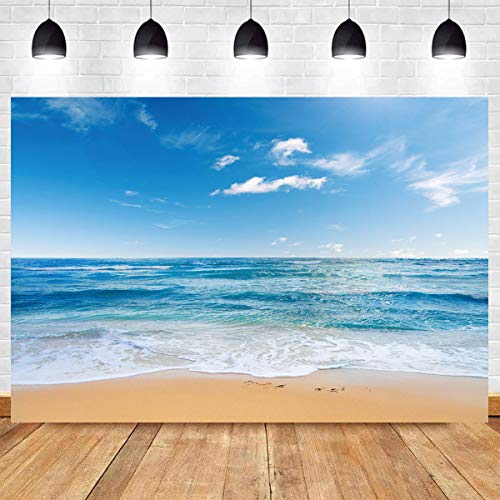 Fondo Fotográfico 5x3ft Tela Poliester Azul miniatura 3