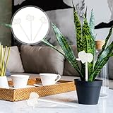 Zoom IMG-2 supvox confezione di globi irrigazione Zoom IMG-2 supvox confezione di globi irrigazione