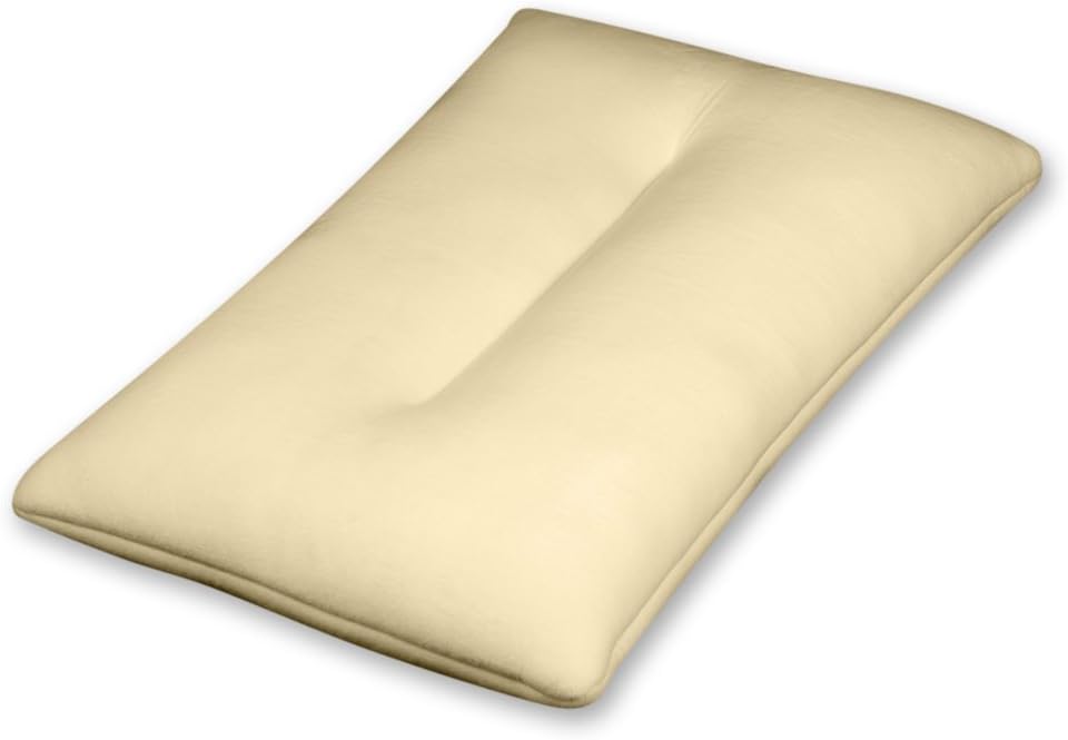 Sleep Shop 20-Inch by 14-Inch by 4-Inch Promo Pillow