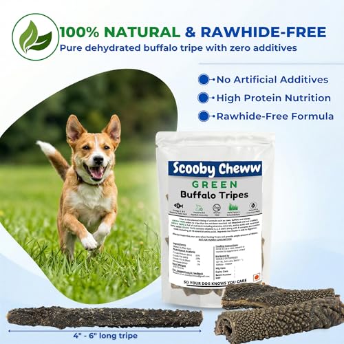 Image of Buffalo Tripe Dog Treats 100g - Dry Green Dehydrated Chews, High Protein, Rawhide Free, Omega 3 & 6 for Healthy Skin & Coat, Natural Chew for Small, Medium & Large Dogs