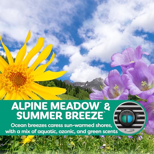 Image of Refresh Your Car! Air Freshener (Alpine Meadow /Summer Breeze Scent, 2 Pack)