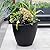 Mayne Modesto Tall Planters