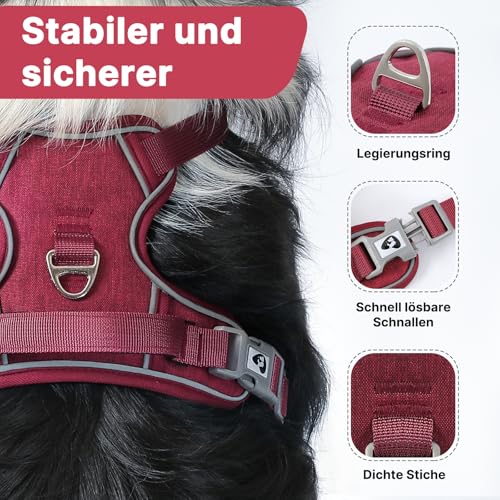 Demigreat Mittleres Hundegeschirr, Anti-Zug-Hundegeschirr mit Weich Gepolstertem Griff für das Training Beim Spazierengehen, Verstellbar, Reflektierend, für Kleine, Mittlere und große Hunde