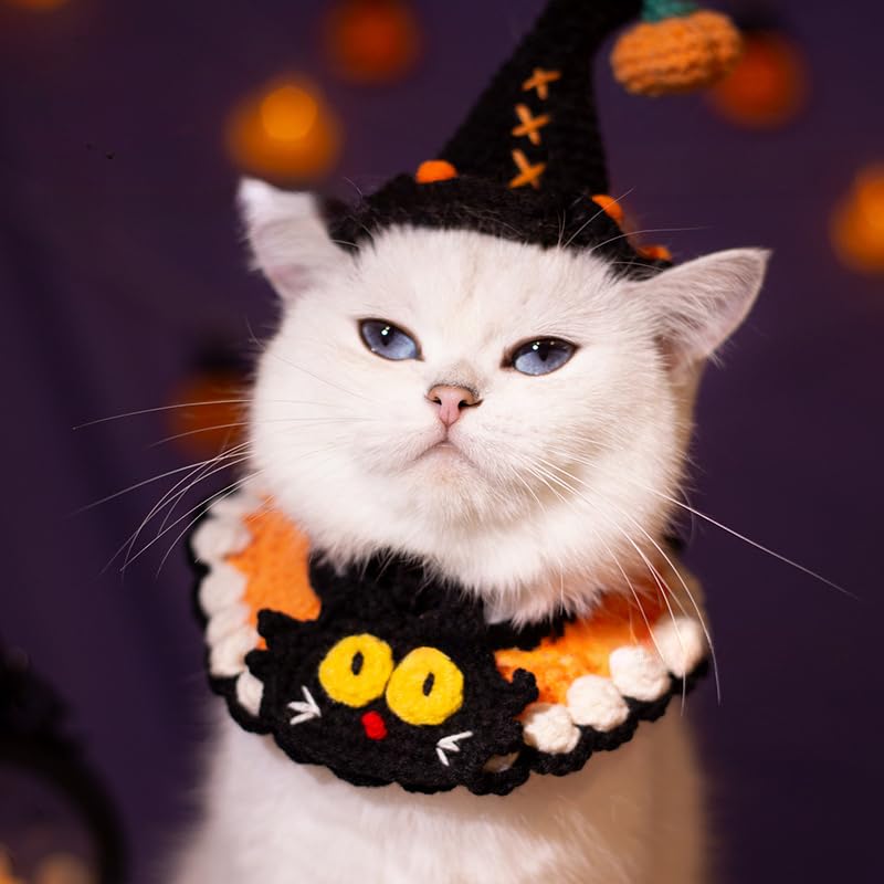 Wag&Wink ハロウィン ペット コスチューム 帽子＆襟飾り セット 猫 犬 用 かわいい 仮装 衣装 3種類選択 おしゃれ コスプレ 誕生日 パーティー フォト撮影 ギフト (黒猫のテーマ)