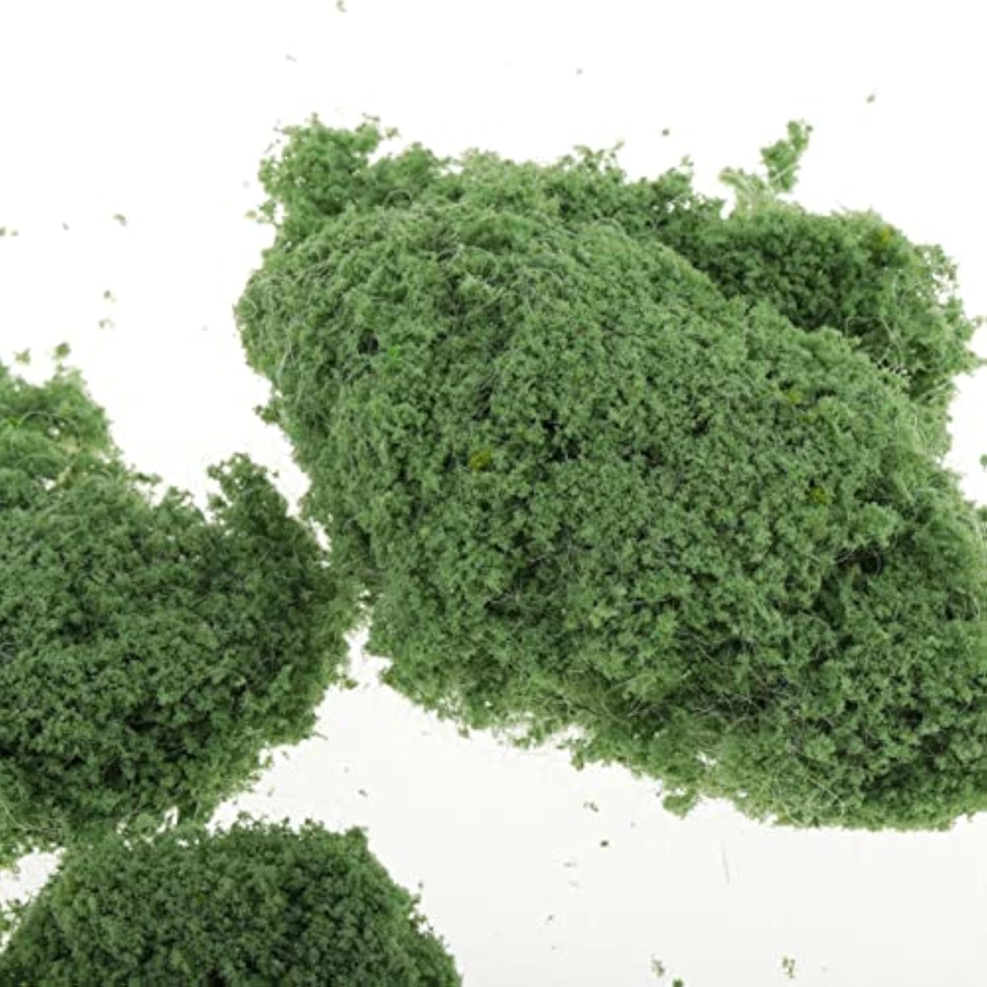 Light Green Grass Garden Decor for Micro Landscape