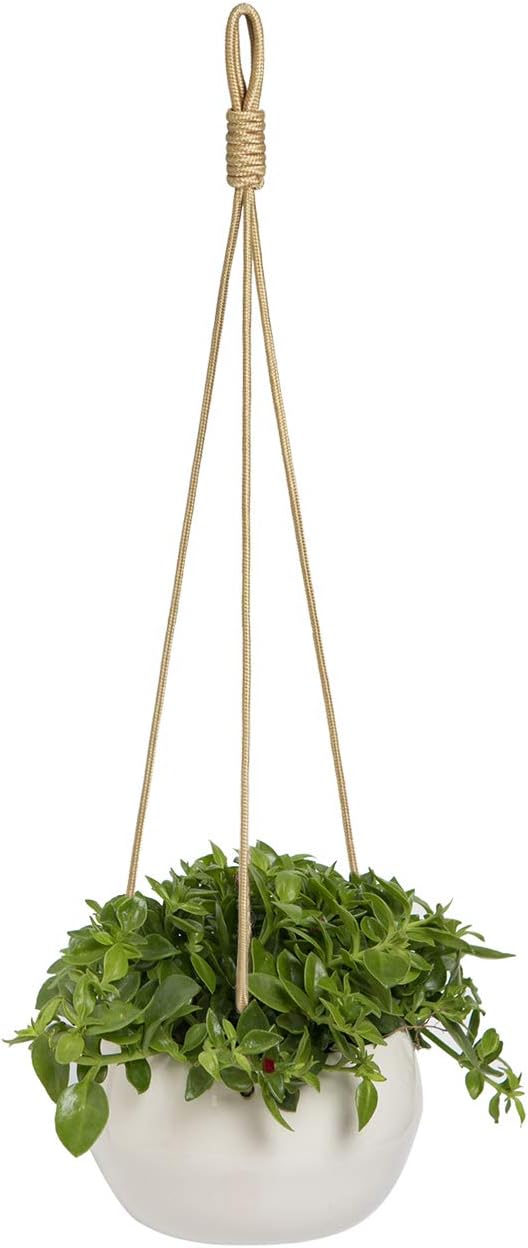 YXMYH Modern White Ceramic Hanging Planter for Indoor Plants Porcelain Hanging Plant Holder 8 Inch Geometric Flower Pot with Polyester Proe