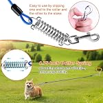 LANNEY Dog Tie Out Cable and Stake, 30ft Leash Chain Lead with Swivel Hook and Shock Spring for Yard Outside Camping, 16 inch Heavy Duty Spiral Ground Stake for Medium Large Dogs Up to 125 Lbs