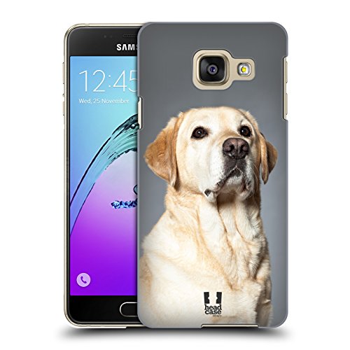 Head Case Designs Labrador Retriever Biondo Cane