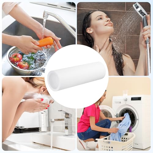 Tranrantic 2 Stück Ersatzfilter 80 µm für Grünbeck Wasserfilter FS 1, Effizient Hauswasserfilter Ersatz Kerzenfilter kompatibel mit Grünbeck Geno Feinfilter FS 1(ohne Schutzglocke)