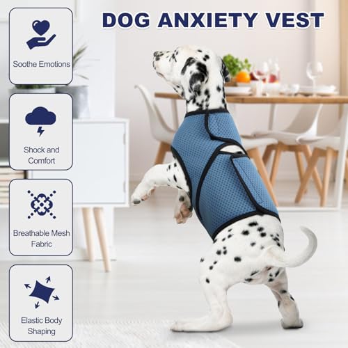 Manteau anxiété chien séparation solution calmante réglable bleu L