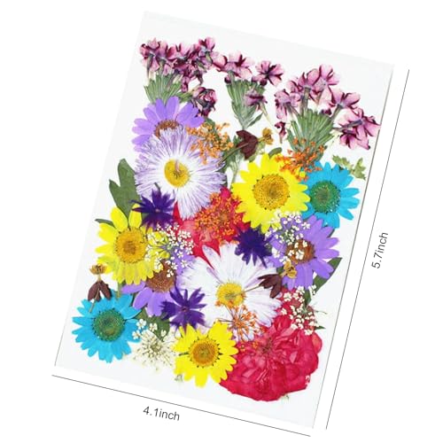 Flores secas prensadas 35 piezas para manualidades miniatura 5