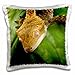Price comparison product image 3dRose New Caledonian Crested Gecko Lizard-Na02 Mpr0089-Maresa Pryor Pillow Case, White, 16 x 16-inch