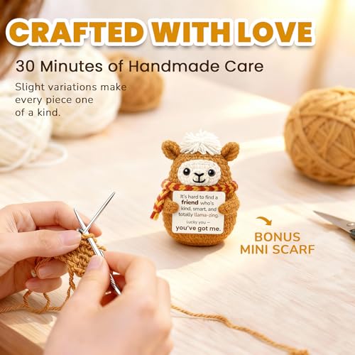 Krinisou Funny Llama Gift for Best Friend, Cute Crochet Llama with You’ve Got Me Card, Bestie Birthday Gift, Friendship Present, Just Because Surprise — view 4