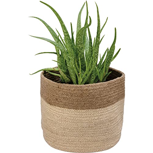 Primitives-by-Kathy-Two-Tone-Natural-Top-Basket-Decorative-Bin-Cream Primitives by Kathy Two Tone Natural Top Basket Decorative Bin Cream
