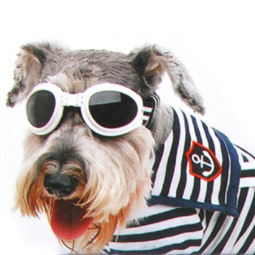 New Fashionable Water-Proof Multi-Color Pet Dog Sunglasses Eye Wear Protection Goggles Small