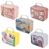 Framendino, 5 Pack Mini Suitcases Boxes Small Cartoon Tin Plate Gift Box Suitcase Candy Rectangular Handbag Coin Container for Party Wedding Decorations