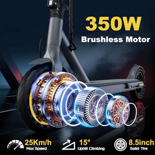 Riceel R50 Electric Scooter, Foldable Electric Scooter, Speed up to 25 km/h, 30 km of autonomy, 8.5" Solid Tire, Maximum Load 120 kg, Dual Braking