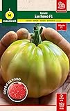 Mascarell Semillas, TOMATE SANREMO F1, Semillas Huerto, Tomate Acorazonado de Grandes Frutos, Ideal para Huerto Urbano y Cultivo en Casa, Variedad Híbrida Productiva y Sabrosa, Contiene 8 sem