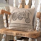 VHC Brands Sawyer Mill Graphic/Print Chambray Cotton Farmhouse Stenciled Square Pillow 18x18 Filled...