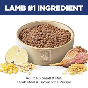 Hill's Science Diet Small & Mini, Adult 1-6, Small & Mini Breeds Premium Nutrition, Dry Dog Food, Lamb & Brown Rice, 4.5 lb Bag Hills Science Diet Small Mini Adult 1 6 Small Mini Breeds Premium Nutrition Dry Dog Food Lamb Brown Rice 45 lb Bag