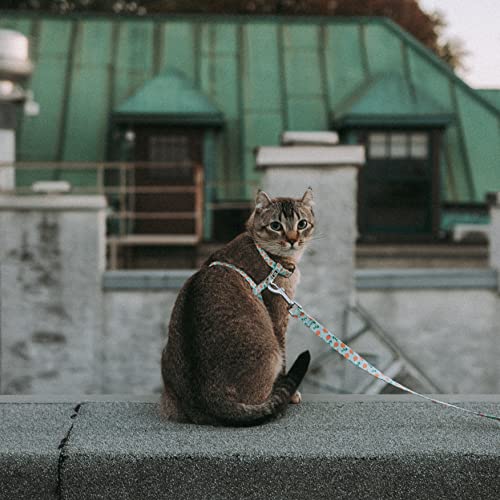 Tella & Stella Escape Proof Cat Harness for Walks – Adjustable Fit for Neck 7 in to 12 in & Chest 10 in to 17 in – Lightweight, Soft, and Comfortable Design – 4-Point Safety Buckles (Quack!) - Image 6