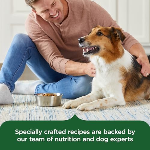 Image of Nutrish Dry Dog Food, Real Chicken & Veggies, 40 lb. Bag (Rachael Ray)