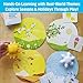 Chalk and Chuckles Season Wise Board Game – Early Learning Preschool Educational Toy for Kids Ages 3-6 | Learn About Seasons, Sorting & Weather | STEM Activity for Boys & Girls