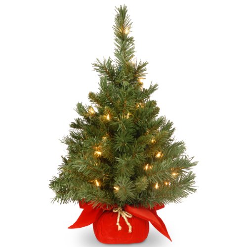 Best 2 Foot Christmas Tree