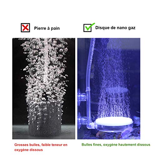 Boxtech Pietra ad Aria per Acquario, Acquario