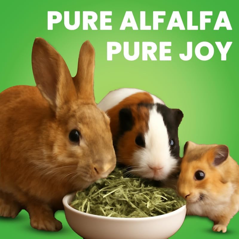 Image of Alfalfa Hay, Food for Rabbits, Guinea Pig, Hamsters and Other Small Animals (400 GMS)- Pack of 1