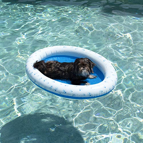 Poolcandy Inflatable Pet Float for Small to Medium Dogs up to 35 lbs. for The Beach, Swimming Pools or The Lake. by Poolcandy - Used condition - Image 2