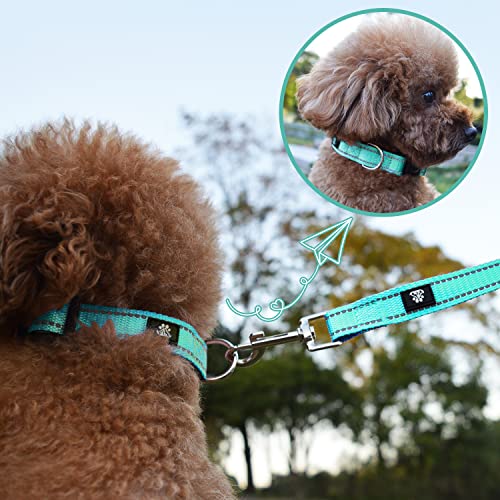 Nestroad Reflective Dog Collar,2 Pack Adjustable Dog Collars With Quick Release Buckle, Soft Neoprene Padded Pet Collar For Medium Dogs(Medium Collars,Teal) #TOP5