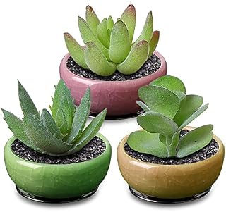 6CM Succulent Plant Pot, Tiny Cactus Flower Pot, Ice Crack Succulent Small Plant Pots for Indoor Outdoor Plants with Plastic Tray, and Great for Home Office Decor, Set of 3