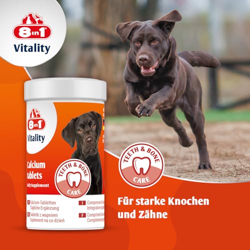 8in1 Kalzium Tabletten - zur Nahrungsergänzung bei allen Hunden, 1 Dose (155 Tabletten)