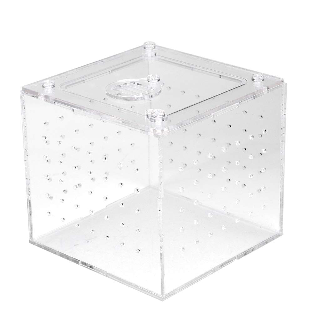 Transparent 2MM Ventilations Holes Lizard Breeding Box, Snakes Breeding Box, Acrylic for Geckos Snails Crickets Tarantulas