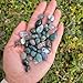 1,000 Carats Moss Agate Handpicked Tumbled Stones Crystals Chips Bulk Pocket Stones for Healing, Reiki, Meditation, Witchcraft and Home Decorations (Moss Agate)