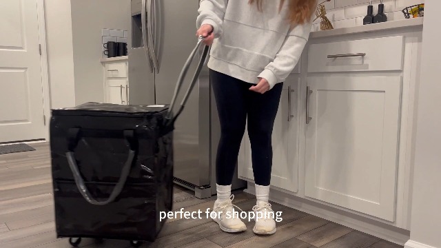 Large,Silver)Reusable Grocery Bag On Wheels, Foldable Rolling Tote, Carries Up To 76 Lbs Shopping Trolley, Zipper Clouser Shopping Carts For Trips, Laundry, 5 Heavy Duty Wheels And 3 Handles