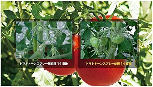Amazon 住友化学園芸 日産トマトトーンスプレー 4ｍl Diy 工具 ガーデン