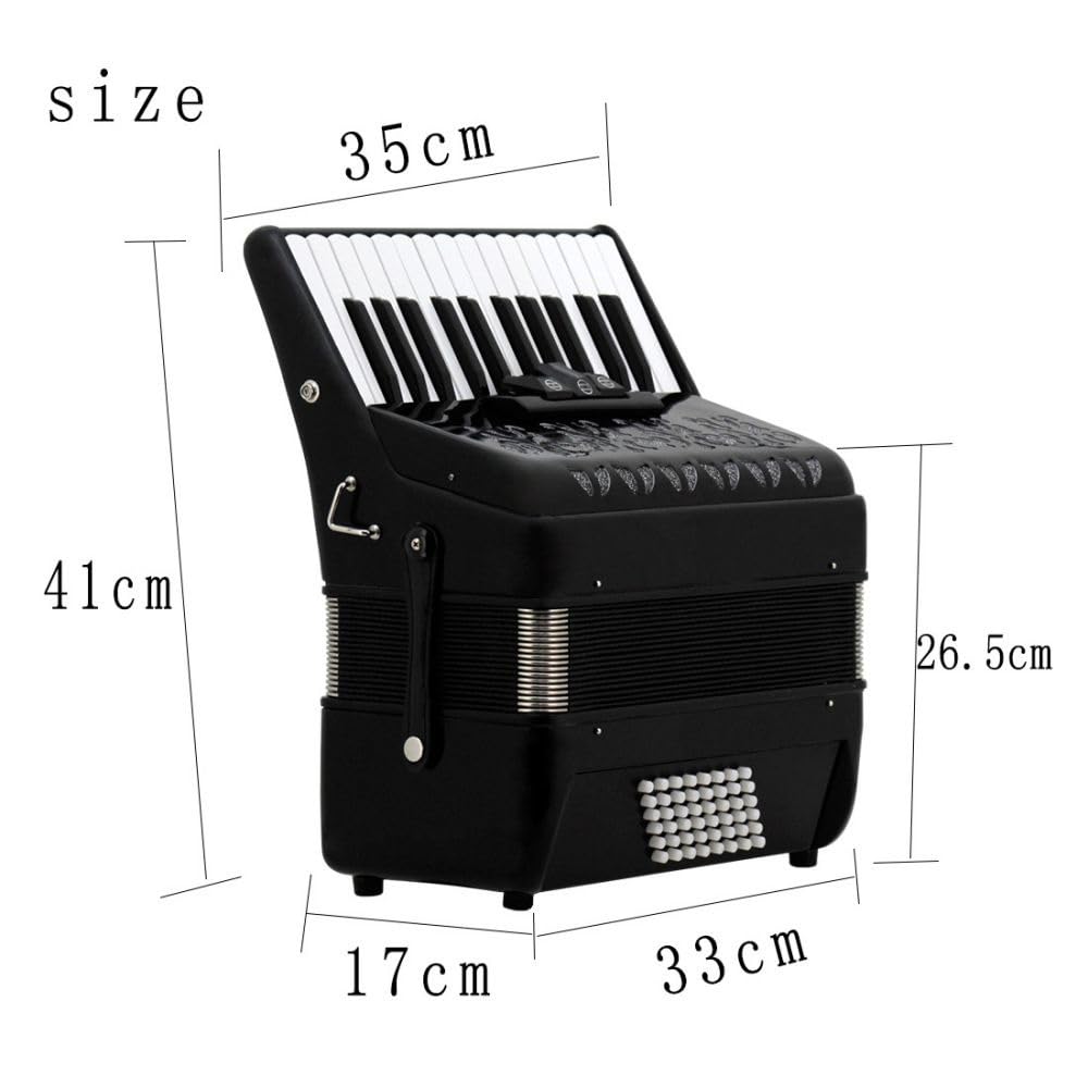 Fisarmonica a 26 tasti 48 bassi, corpo in ABS, vernice for pianoforte con superficie nera, interruttore audio, adatta a principianti e professionisti, borsa di stoccaggio inclusa e nastro for chitarra