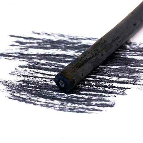 Carboncillo de Sauce para Dibujo y Boceto en Cubeta 25 miniatura 2