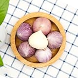 4 piezas ajo vegetal orgánico, Las plantas de jardín son plantas perennes resistentes. Plantar ajo, ajo resistente. Regalos de verduras de balcón para los amantes del jardín. camas