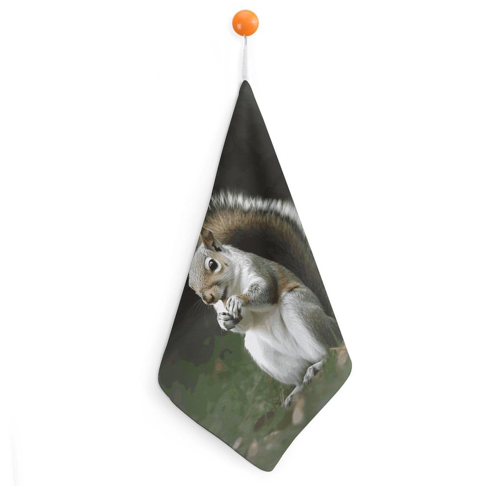 LDGSUPH Squirrel Hand Towels Fashion Hand Face Towel with Hanging Strap Absorbent Soft Decorative Towel Fade Resistant Cozy Face Cloths for Kitchen Gym Bathroom Towels 1PCS
