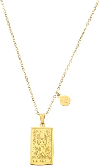 uxcell Tarot Zodiac Sign Necklace, Titanium Steel Tarot Card Aquarius Necklaces for Women Men