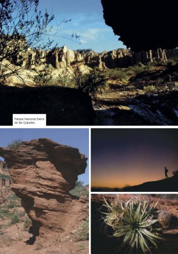 Time Out Argentina and Uruguay: Perfect Places to Stay, Eat and Explore