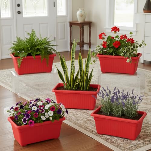 Image of Bianco Rectangular Plastic Pots for Plants, Jupiter Flower Pots for Home, Window Display, Garden (35 x 18.5 x 15 cm) (RED) (Pack of 5)