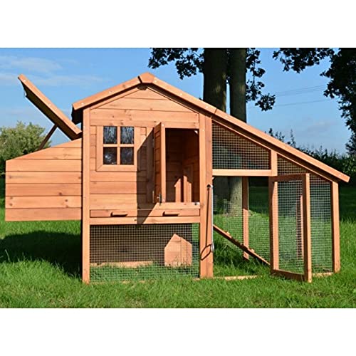 Pollaio in legno per giardino esterno 2/5 galline gabbia anatra 2 posatoi modello Comfort 190x62x114 cm