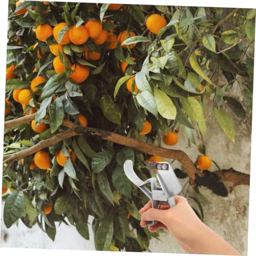 Herramienta para quitar corteza de árbol OSALADI para jardinería miniatura 6