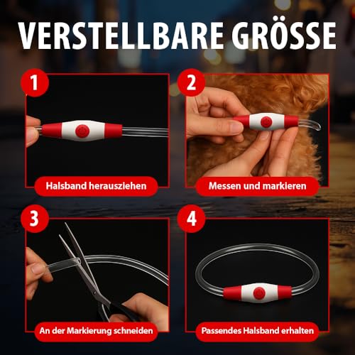 PetSol LED-Hundehalsband in Rot – wiederaufladbares USB-Sicherheitshalsband mit blinkendem Licht für Hunde, Katzen und Welpen – Größe S, M und L – modisches, im Dunkeln leuchtendes Design